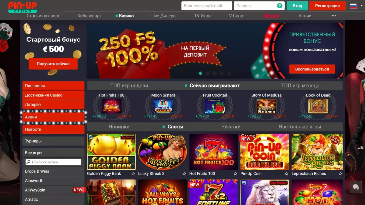 Pin Up Casino Interface